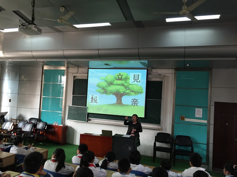 ����ʵ��Сѧ����Ч���á����Ź��