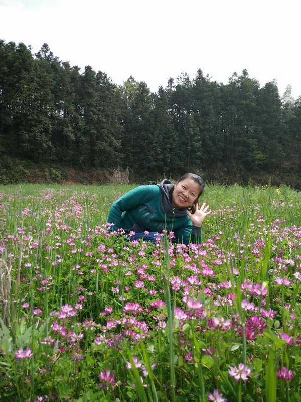 2017ʮ�Ѱ�����--������