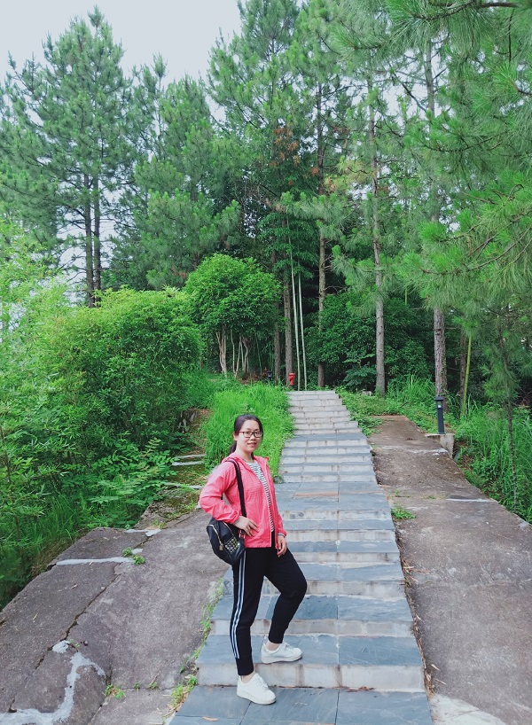 2018ʮ�Ѱ�����--����