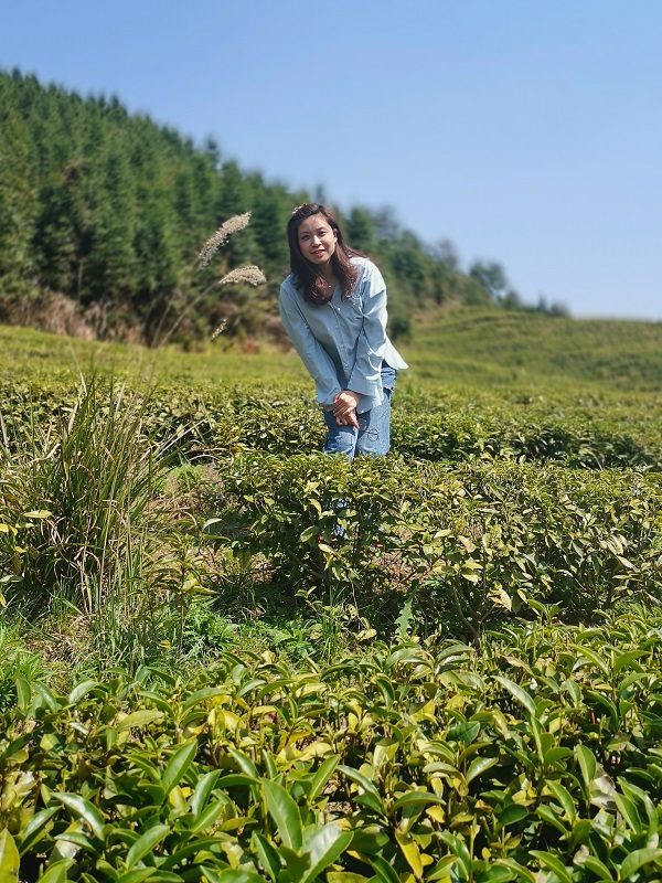 2021ʮ�Ѱ����Ρ������᷼