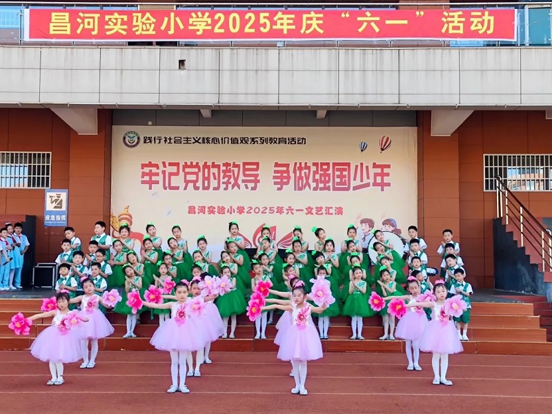 ͯ���嵳����������δ����������ʵ��Сѧ���С���һ�����ݻ