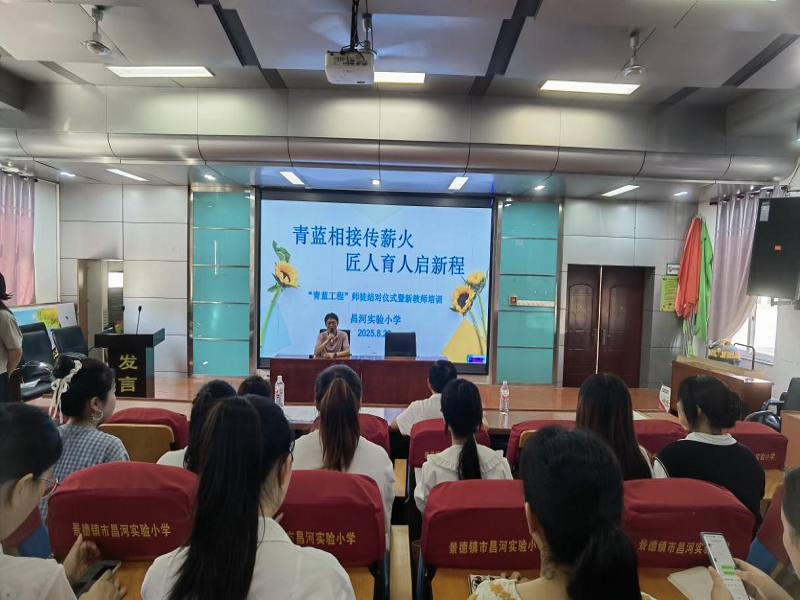 ������Ӵ��������Թ����ٳɳ��������������̡���Ի���½�ʦ��ѵ��